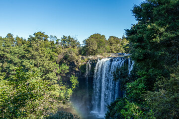 Rainbow Falls: A Scenic Waterfall Walk along Kerikeri River in Northland, New Zealand