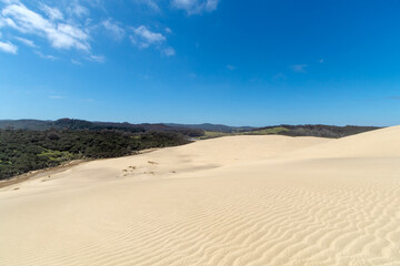 Cape Reinga Iconic Te Paki Giant Sand Dunes: A Natural Wonder and Tourist Attraction in Northland, New Zealand