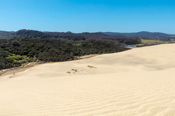 Cape Reinga Iconic Te Paki Giant Sand Dunes: A Natural Wonder and Tourist Attraction in Northland, New Zealand