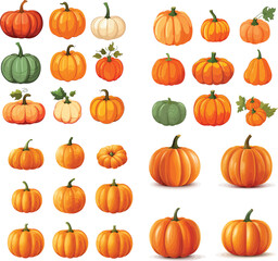 set of pumpkins isolated on white background, autumn pumpkin cartoon style, cartoon orange pumpkin vegetable food item.