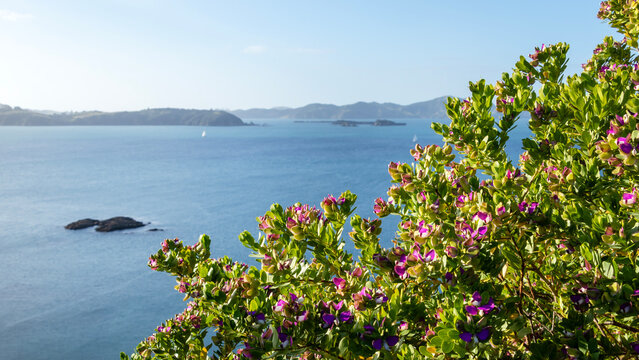 Tapeka Point's Scenic Coastline: A View from Tapeka Point Track Lookout, Russell, Bay of Islands, New Zealand