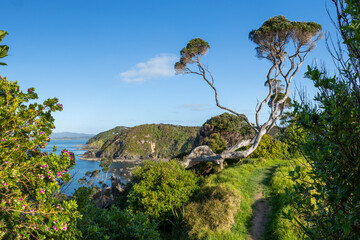 Tapeka Point's Scenic Coastline: A View from Tapeka Point Track Lookout, Russell, Bay of Islands,...