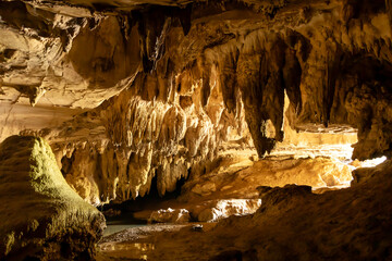 Waipu Caves Hidden Gem and Must-See Destination for Adventure Tourism in Northland, New Zealand