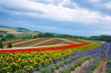 SHIKISAI-NO-OKA, Biei, Hokkaido　四季彩の丘・美瑛　北海道