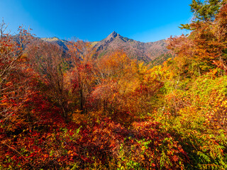山が紅葉してきた秋の風景　愛媛県　石鎚山
