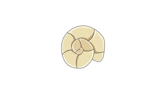 Animation forms an ancient shell icon