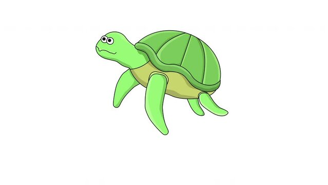animated video of a turtle icon