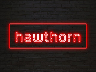 hawthorn のネオン文字