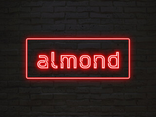 almond のネオン文字