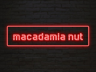 macadamia nut のネオン文字