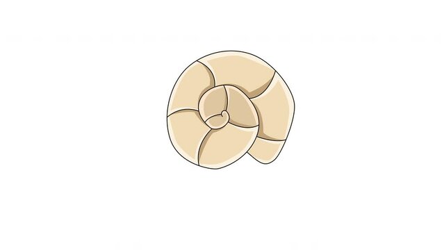 animated video of ancient shell icons