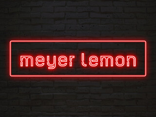 meyer lemon のネオン文字