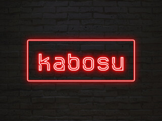 kabosu のネオン文字
