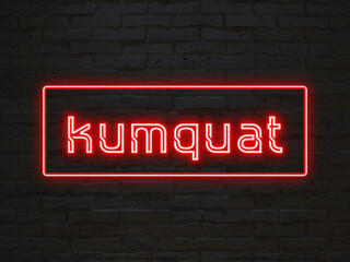 kumquat のネオン文字