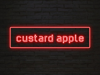 custard apple のネオン文字