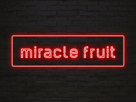miracle fruit のネオン文字