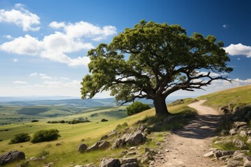 Fototapeta na wymiar Majestic oak tree on a hill against a clear blue sky, Generative AI
