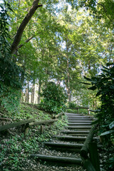 井の頭恩賜公園（東京都武蔵野市御殿山エリア）