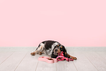 Cute cocker spaniel with toy and feeding bowl near pink wall