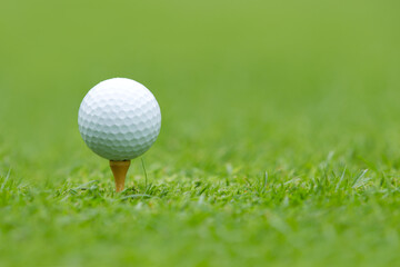 Golf ball on tee