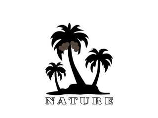 Natural illustration of three coconut trees on a white background