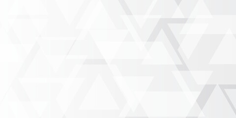 Fototapeta premium Abstract web banner, white and gray, geometric hexagons and overlapping triangles, technology, corporate background design.