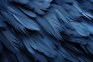 Foto op Plexiglas Raven Wing: Mystique Black Feather Abstract Background © Michael