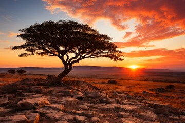 Sunrise over the vast Serengeti plains, Generative AI