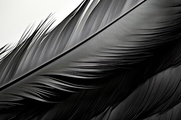 Raven Quill: Black Feather Abstract - A Background of Depth and Intrigue