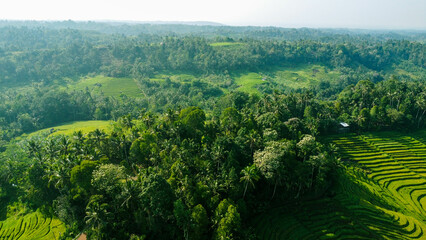 Green Landscape Aerial View Shot