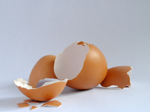 cracked chicken egg shell in front of white background