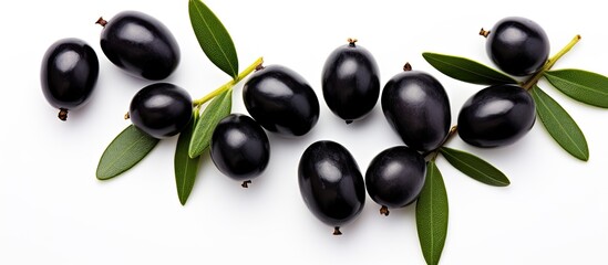Black olives along with their leaves placed separately on a white backdrop with a clear focus throughout the picture The view from the top with everything laid flat