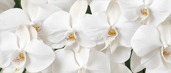 Zelfklevend Fotobehang Bunch of white orchid flowers detailed texture background from Generative AI © SevenThreeSky
