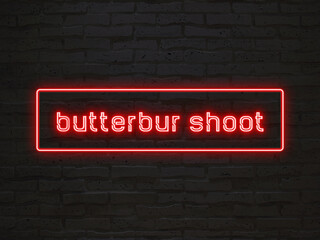 butterbur shoot のネオン文字