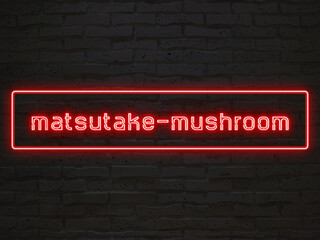 matsutake-mushroom のネオン文字