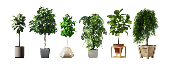 3d images of various types of plants in plant pots as a set. For interior work on white background with clipping path