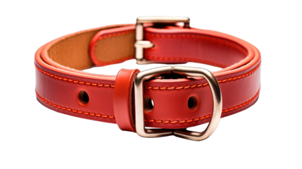 red leather belt