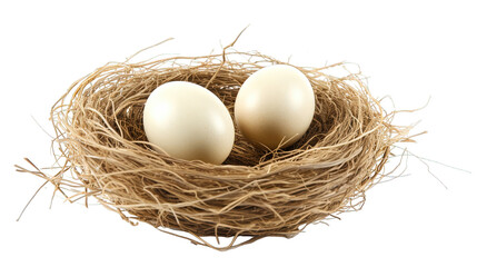 nest with eggs - obrazy, fototapety, plakaty