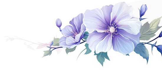 A depiction of a lovely flower on a backdrop that is blank and devoid of color
