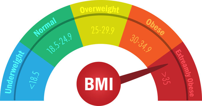 BMI Body Mass Index level chart. Infographic of obesity medical scale with arrow. Medical and healthcare concept.