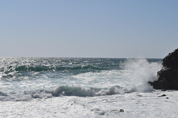 Fototapeta premium wild japan sea