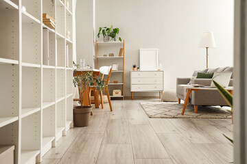 Interior of light living room with commode and shelf units