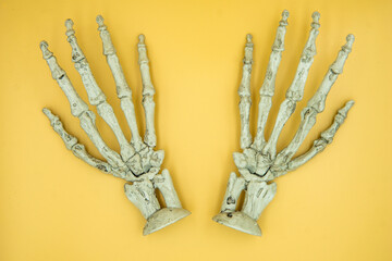 left and right plastic skeleton hands on background