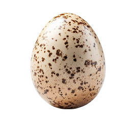 A speckled egg isolated on transparent or white background, png
