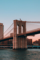 NEW YORK  and Brooklin bridge city