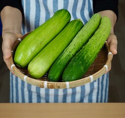 바구니에 담긴 신선한 유기농 채소 오이와 애호박, 여자손