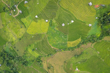 Aerial view of terrace rice field at Ban Pa Bong Piang, Chiang Mai, Thailand