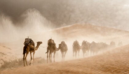 Camellos desierto - obrazy, fototapety, plakaty
