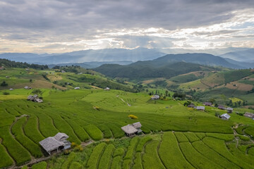 Obraz premium Aerial view of terrace rice field at Ban Pa Bong Piang, Chiang Mai, Thailand