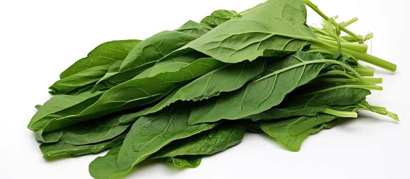 An up close view of casavva leaves also known as daun singkong Suitable for a nutritious diet and promoting a healthy way of living